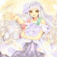 クルセイドマーチ画像