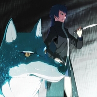 シルバーコヨーテ画像