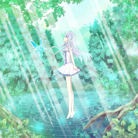 フェアリーサークル画像