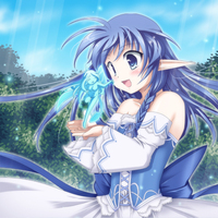 フェアリーサークル画像